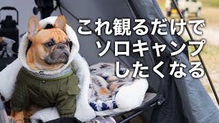 【ソロキャンプしたい人必見】冬の犬連れソロキャンプ [upl. by Agustin481]