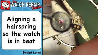 How To Align The Hairspring to set the watch in beat Watch repair techniques [upl. by Esenwahs756]