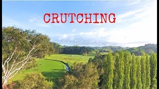 Crutching Sheep in New Zealand [upl. by Naarah]