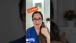 orina diabetes salud [upl. by Jahn]