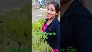 বলতো এগুলো কি পাতা reels video shorts [upl. by Noislla]