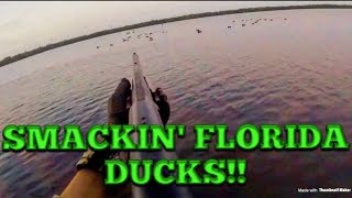 Florida Duck Hunting BLUE BILLZ 25 [upl. by Adnoryt931]