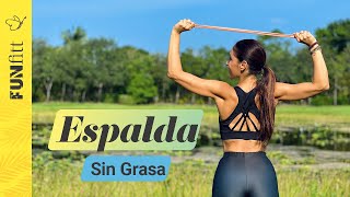 Espalda sin Grasa  Ejercicios Sencillos con Bandas Elásticas ¡Funciona [upl. by Tiler321]