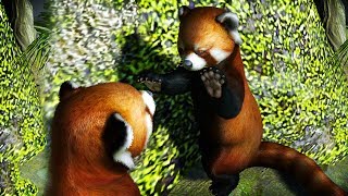 RED PANDAS FINISH THE OLD ZOO  Zoo Tycoon  Ultimate Animal Collection 16 [upl. by Gnivre869]