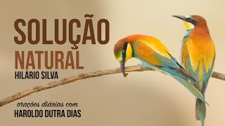 SOLUÇÃO NATURAL  Haroldo Dutra Dias  HILÁRIO SILVA  Chico Xavier  ORAÇÕES Diárias [upl. by Inaflahk]