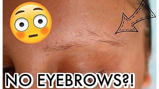 WHY ARE MY EYEBROWS FALLING OUT  Eyebrow Update [upl. by Fleisher760]