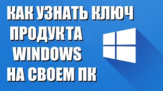 Как узнать ключ Windows на своем ПК ноутбуке [upl. by Nielsen981]