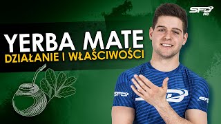 YERBA MATE  Napój Bogów czy przeciętna herbata Działanie i właściwości🧐 [upl. by Bradan]