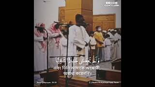 Very Beautiful Quran Recitation by Sheikh Muhammad Hady Toure  Surah Maryam 3035 [upl. by Janean796]