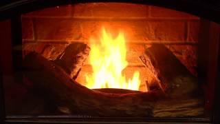 Enviro M55 Pellet Fireplace Insert Burn Video [upl. by Fruin]