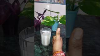 Custard apple  sitafal  sugar apple cooking easyrecipe shortvideo  subscribe [upl. by Townie]