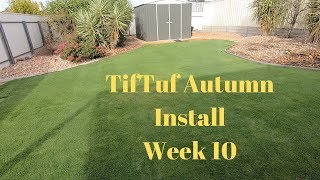 Tiftuf Autumn Install 10 weeks in [upl. by Vona905]