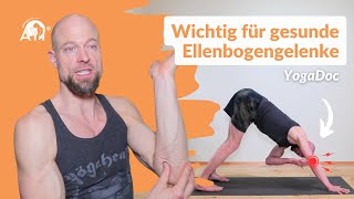 Yoga für gesunde Ellenbogen Anatomie Alignment amp Therapie [upl. by Bel940]