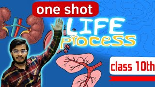 LIFE PROCESSES CLASS 10 SCIENCE BIOLOGY ONE SHOT  NCERT COVERED [upl. by Ynomrah]