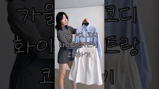 가을 셔츠 스커트 코디하기 [upl. by Notsud]