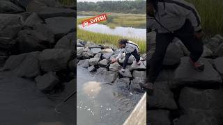 When using a gaff goes wrong 🤣 drfish fishing fish dmv fishingdaily bigfish stingray gaff [upl. by Joete]