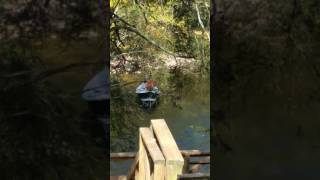 Fly fishing on the Watauga River  Watauga River Magic Cabin [upl. by Einram]