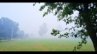 Winter Foggy Morning  Nature Video  Cinematic [upl. by Alegnaed961]