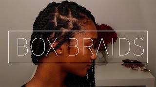 My Box Braids For Natural Hair Tatyana Ali [upl. by Onailerua648]