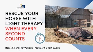 Rescue Your Horse with Light Therapy When Every Second Counts [upl. by Ahsek134]