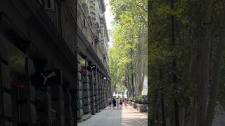 Day 546 🇬🇪 Rustaveli Avenue in Tbilisi Georgia tbilisi georgia tbilisivlog streetwalking [upl. by Animehliw846]