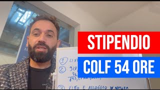 Stipendio Colf a 54 ore settimanali Ecco cosa devi sapere [upl. by Llewen]