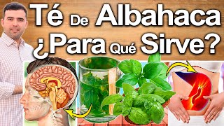 Té De Albahaca ¿Para Qué Sirve  Beneficios Del Té De Albaca Para Tu Salud Y Belleza [upl. by Alexis]