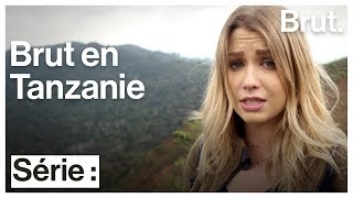 Épisode 1 Des YouTubeurs replantent des arbres pour lutter contre la déforestation [upl. by Aleunamme]