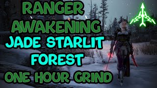 BDO  Ranger Awk PvE l Jade Starlit Forest [upl. by Nylloh795]