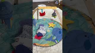 Melissa amp Doug  Ocean EasyFold Play Gym  Holiday Hacks [upl. by Nimrak]