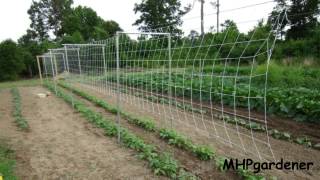 Pole Bean Trellis  How to Set it Up [upl. by Kcinnay950]