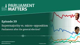 Supermajority vs microopposition Parliament after the general election [upl. by Eetsirhc]