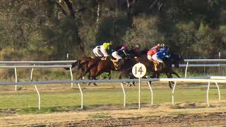 Goondiwindi 20240720 Race 5 [upl. by Carlson]