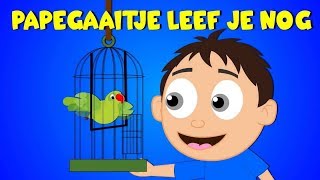 Nederlandse Kinderliedjes  Papegaaitje leef je nog etc [upl. by Pantin85]