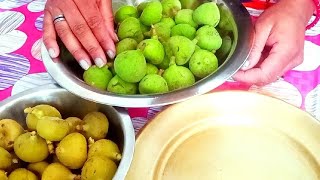 व्रत वाला अंजीर तिमला Fig सात्विक हलुआ। Anjeer Timla Fig FicusAuriculata Halua NavratriSpecial [upl. by Coop]