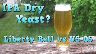 Dry Yeast for an IPA M36 Liberty Bell vs US05 [upl. by Eetsud]