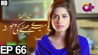 Meray Jeenay Ki Wajah  EP 66  Aplus  Bilal Qureshi Hiba Ali Faria Sheikh  C4I1 [upl. by Lsil]