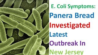 E Coli Bacteria Symptoms Panera Bread Investigated Latest Outbreak In New Jersey [upl. by Wade]