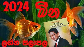 2024 Lagna Palapala Meena Lagnaya 2024 ලග්න පලාපල මීන ලග්නය [upl. by Ellicott]