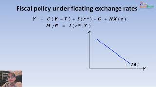 The Mundell Fleming model [upl. by Sirref]