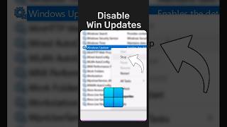 STOP Windows Auto Updates [upl. by Baumann]