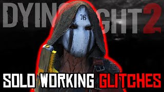 Dying Light 2 Working Solo Glitches Patch 118 [upl. by Nadnarb]