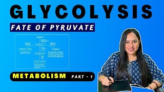 Glycolysis Basics  Fate of Pyruvate  Metabolism Part 1  Complete Biochemistry [upl. by Akieluz]