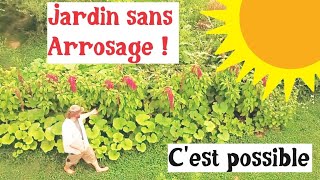 Un potager sans arrosage cest possible [upl. by Analiese]