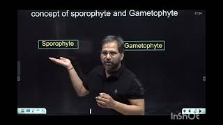 what is sporophyte and gametophyte animationsankalpbharat [upl. by Anaylil]