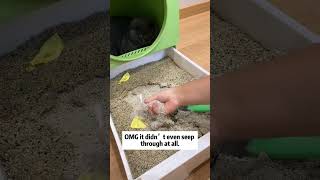 Cat litter china supplier Mineral cat litter wholesale Cat litter factory price cat petcare [upl. by Naig]