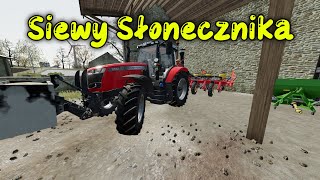 Siewy Słonecznika TIMELAPSE THE OLD STREAM FARM EXPANSION [upl. by Ahsiemac]