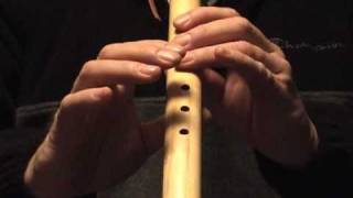 House of The Rising Sun 5 or 6 Hole Flute How to Play on the Native American Flute [upl. by Dez832]