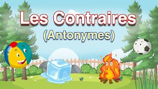 Apprendre les mots contraires en français lescontraires oppositewords maternelle [upl. by Sharai726]