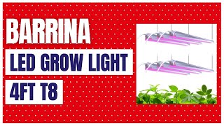 Barrina LED Grow Light 252W6 x 42W 4ft T8 [upl. by Avon]